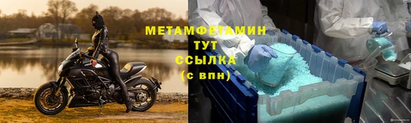 прущие грибы Волосово