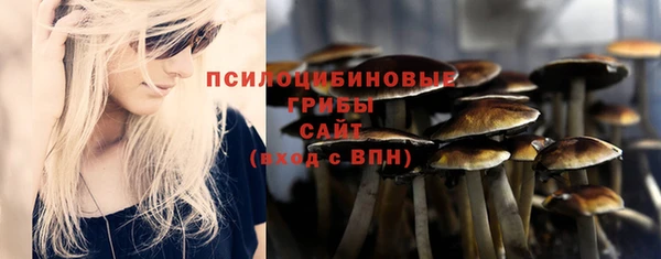 крисы Волоколамск
