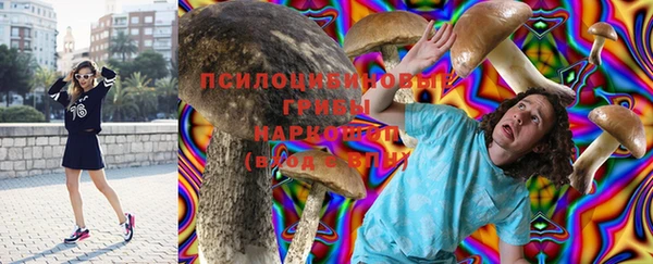 бошки Верхний Тагил