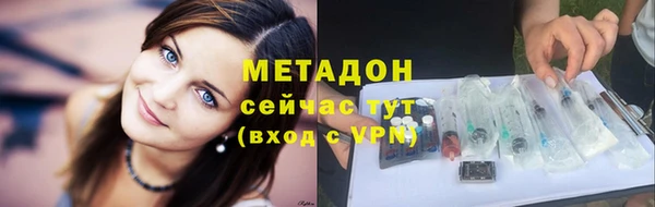 прущие грибы Волосово