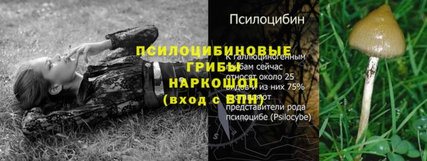 бошки Верхний Тагил