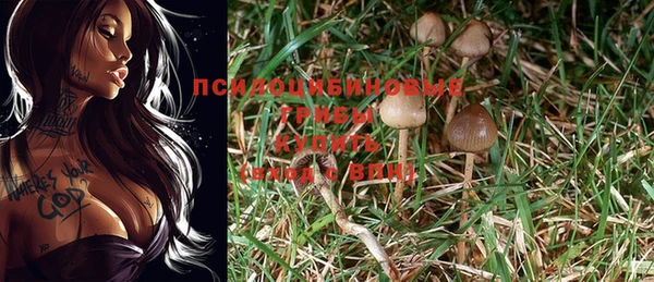 ешки Верея