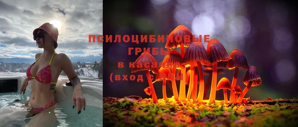 бошки Верхний Тагил