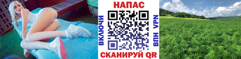 Бошки марихуана планчик Могоча